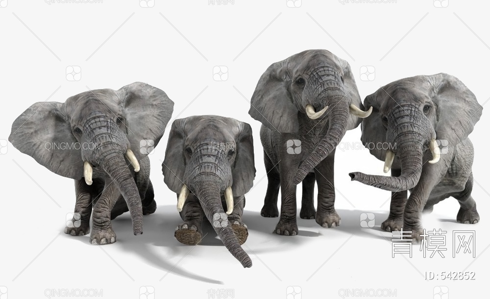 大象3D模型下载【ID:542852】
