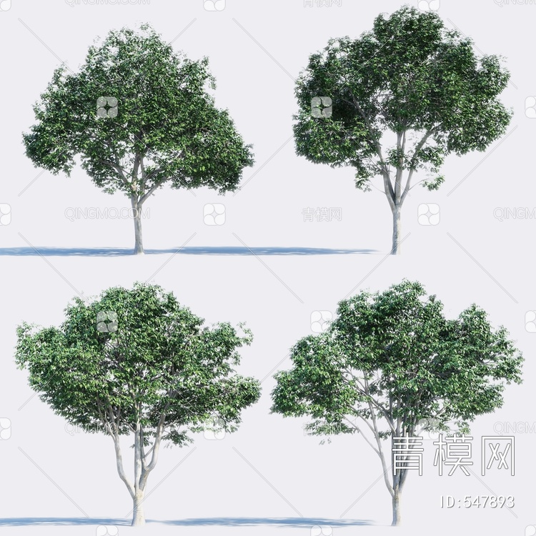 景观树3D模型下载【ID:547893】