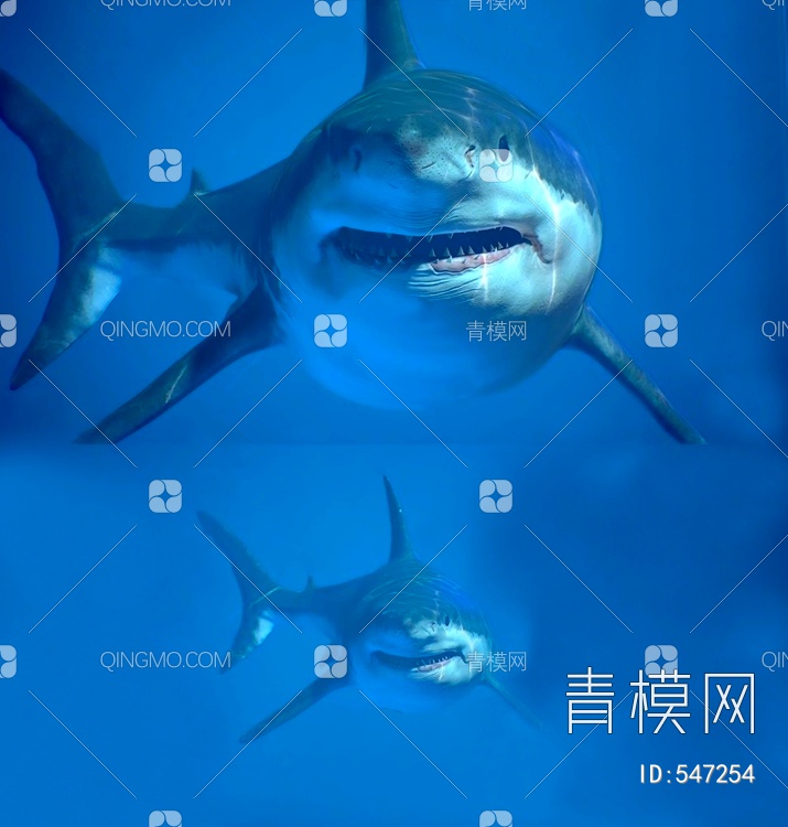 鲨鱼3D模型下载【ID:547254】