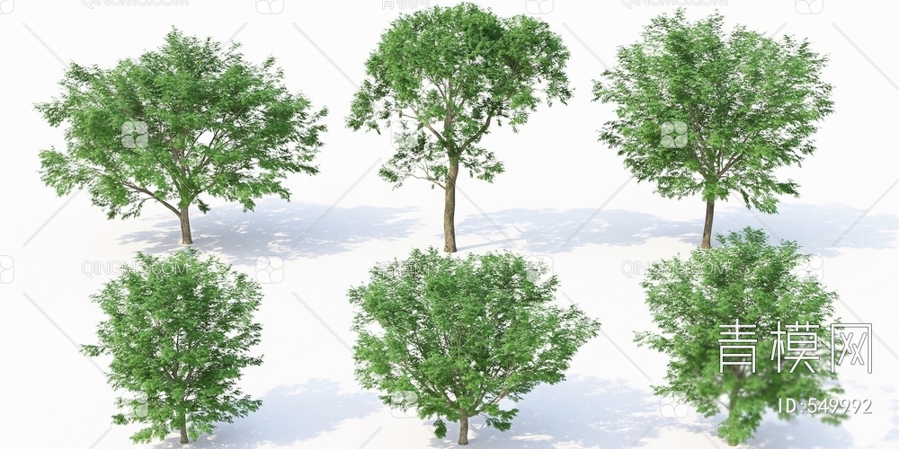 树木3D模型下载【ID:549992】