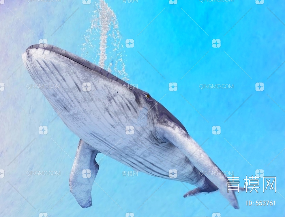 鲸鱼3D模型下载【ID:553761】