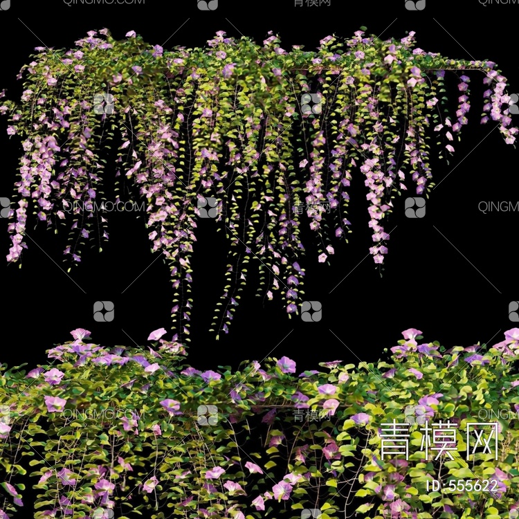 牵牛花藤蔓3D模型下载【ID:555622】