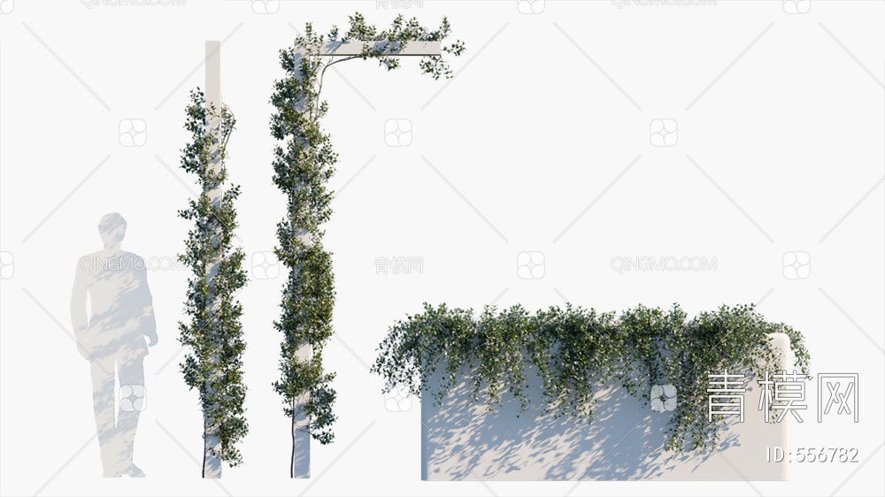 蔓藤植物  植物  绿植3D模型下载【ID:556782】