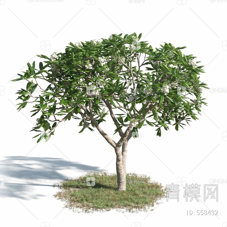 树3D模型下载【ID:558432】