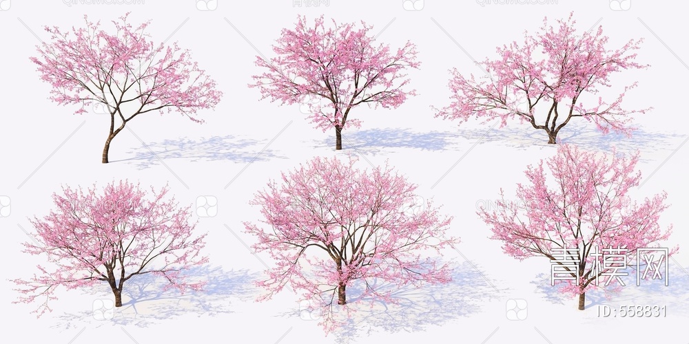 樱花树3D模型下载【ID:558831】