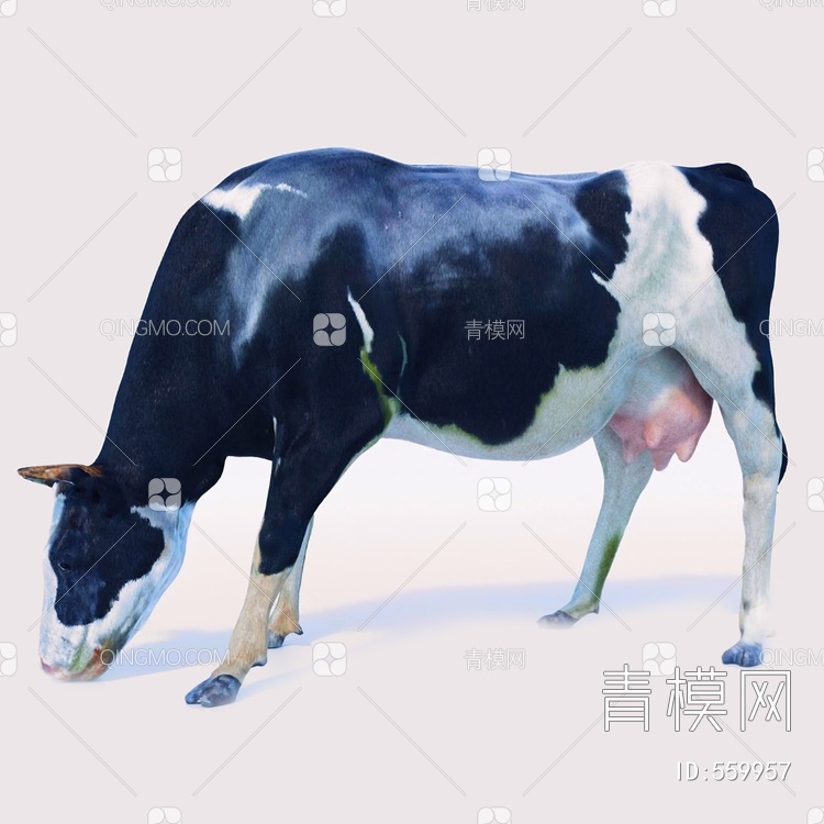 牛3D模型下载【ID:559957】