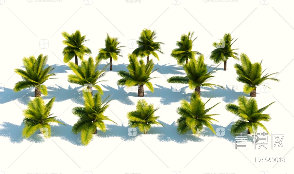 棕榈树3D模型下载【ID:560018】