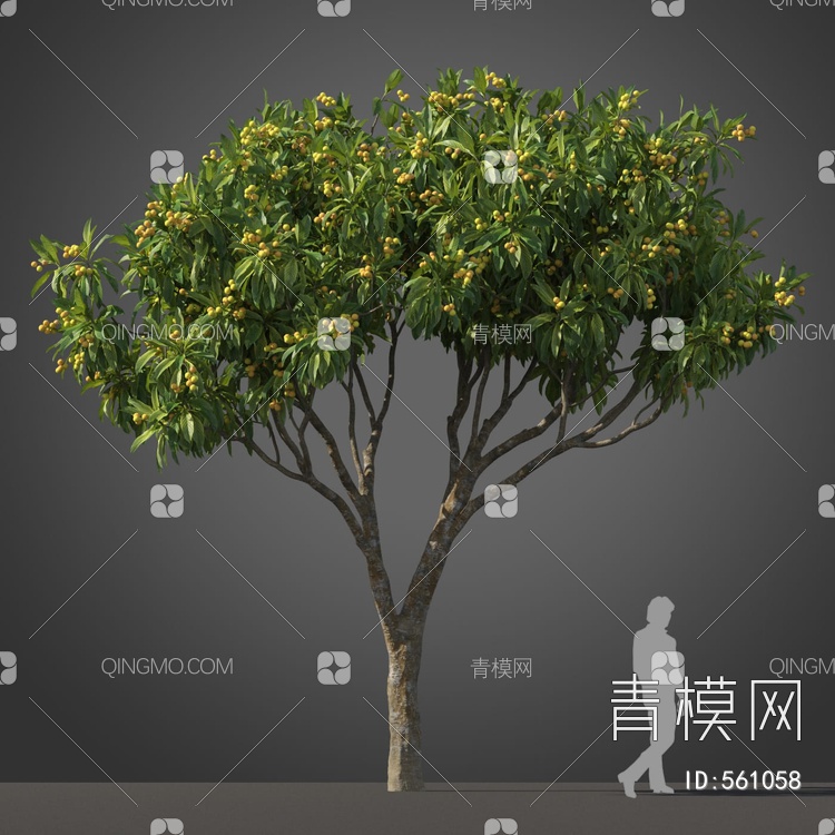景观树木3D模型下载【ID:561058】