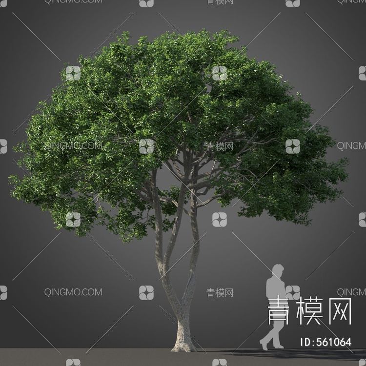 景观树木3D模型下载【ID:561064】