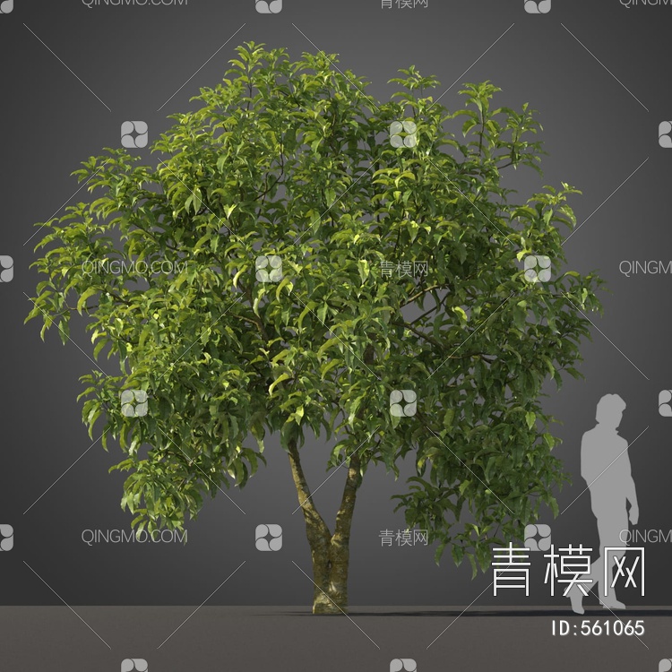 景观树木3D模型下载【ID:561065】