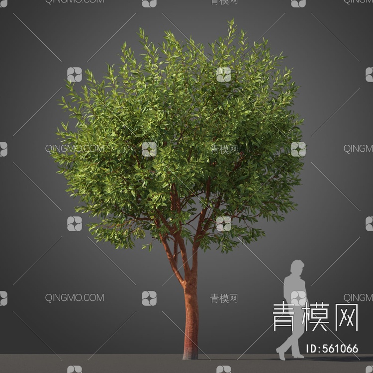 景观树木3D模型下载【ID:561066】
