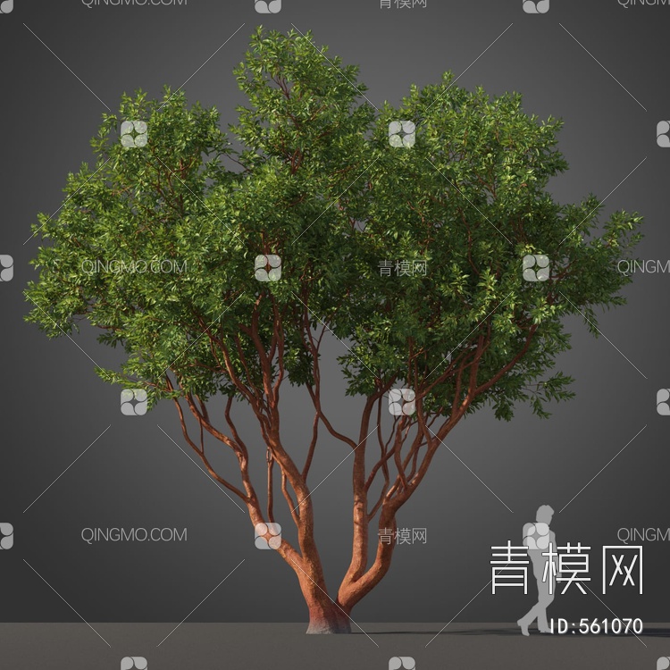 景观树木3D模型下载【ID:561070】