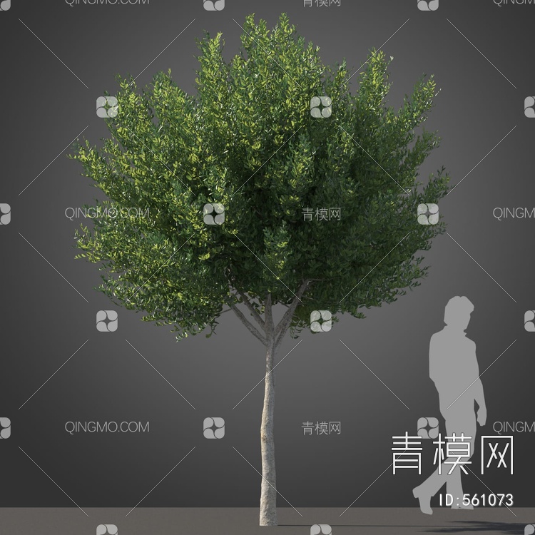 景观树木3D模型下载【ID:561073】