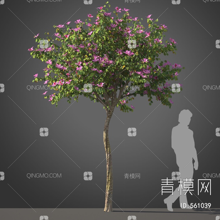 景观树木3D模型下载【ID:561039】