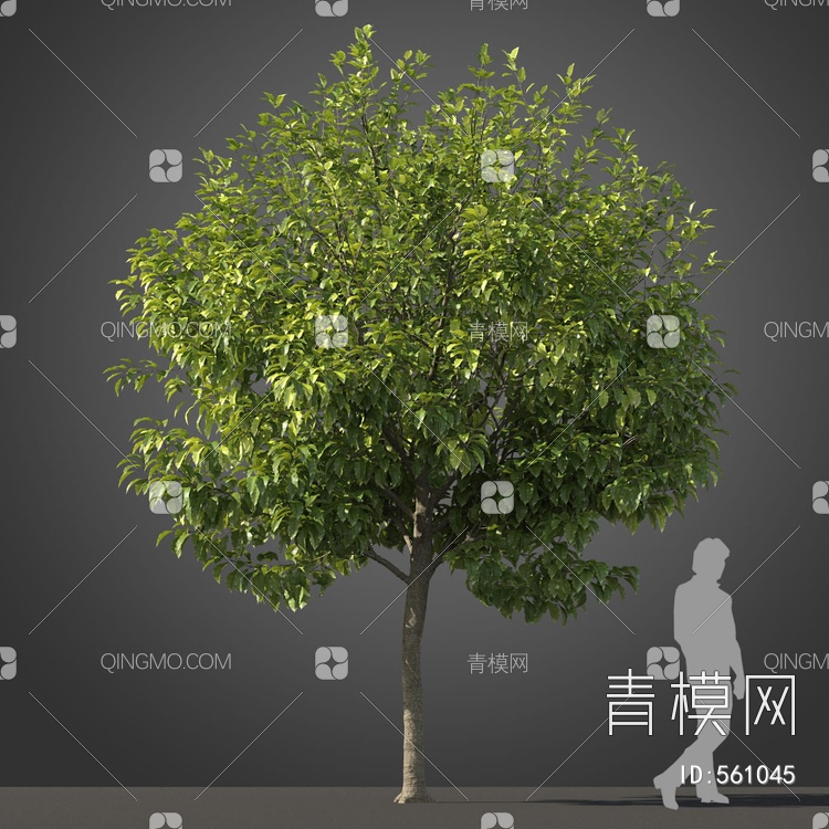 景观树木3D模型下载【ID:561045】