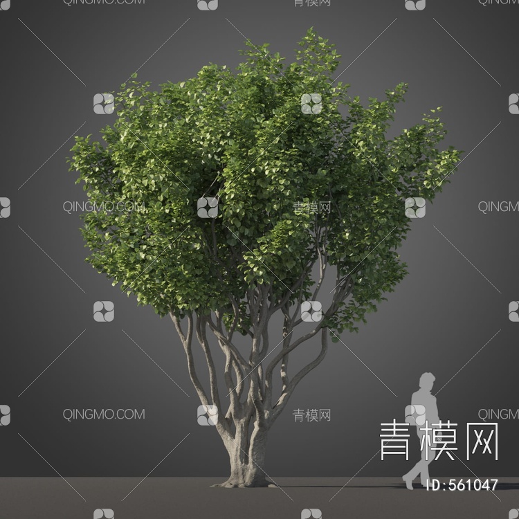 景观树木3D模型下载【ID:561047】
