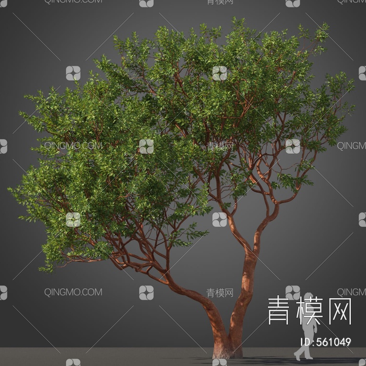 景观树木3D模型下载【ID:561049】