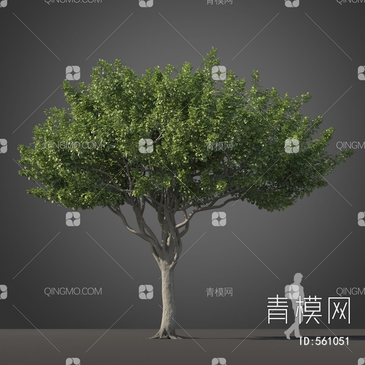 景观树木3D模型下载【ID:561051】