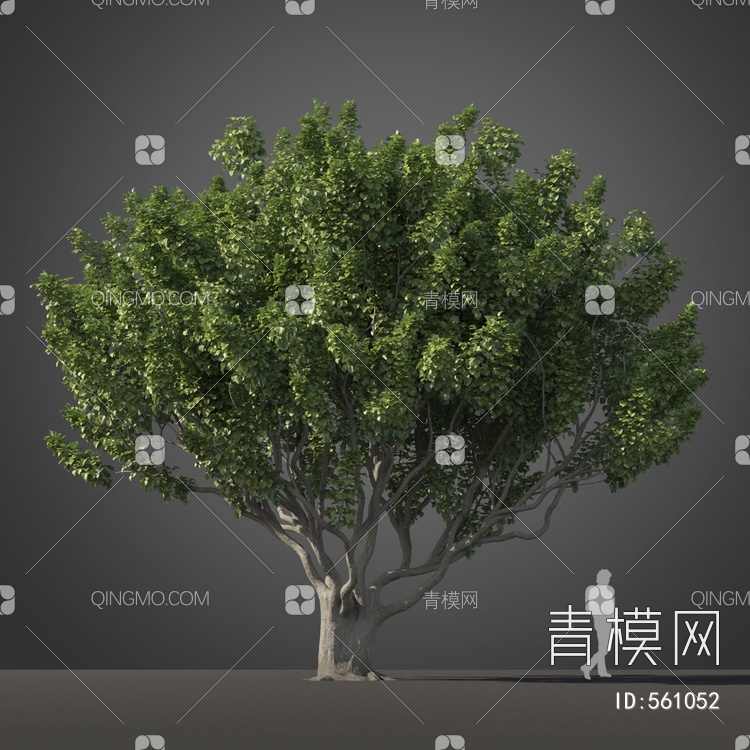 景观树木3D模型下载【ID:561052】