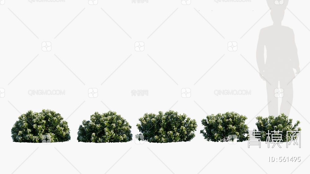 灌木 植物 开花灌木3D模型下载【ID:561495】