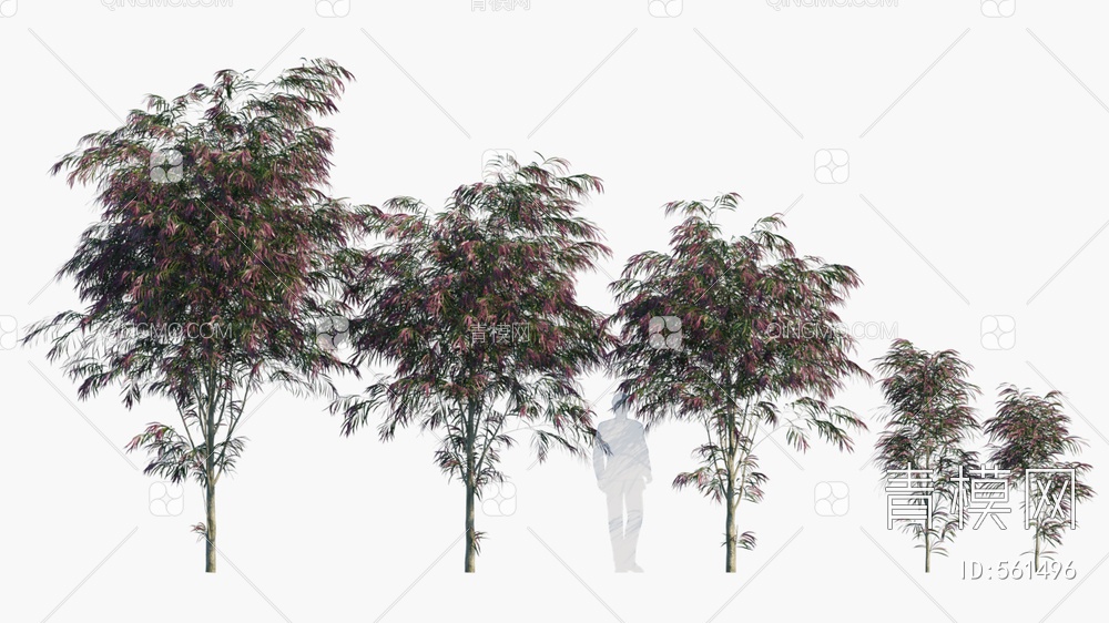 树  红叶树3D模型下载【ID:561496】
