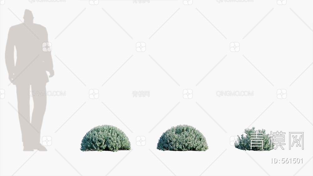开花灌木  灌木  植物   矮植物3D模型下载【ID:561501】
