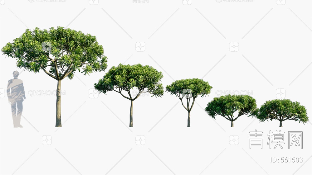 树  植物3D模型下载【ID:561503】