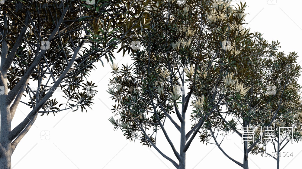 树  植物3D模型下载【ID:561504】