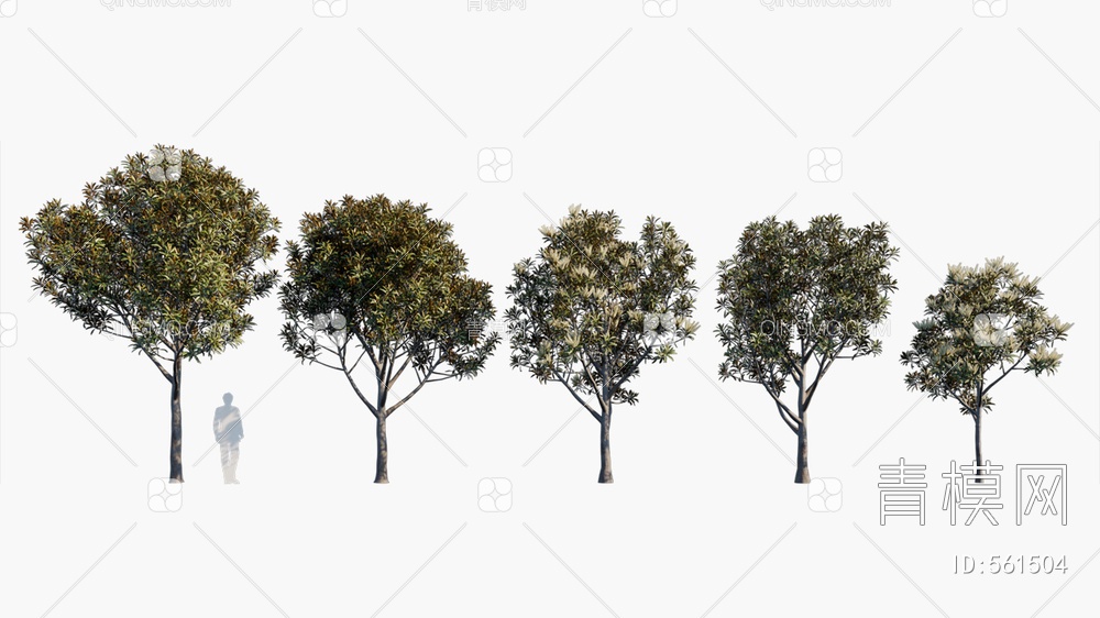 树  植物3D模型下载【ID:561504】