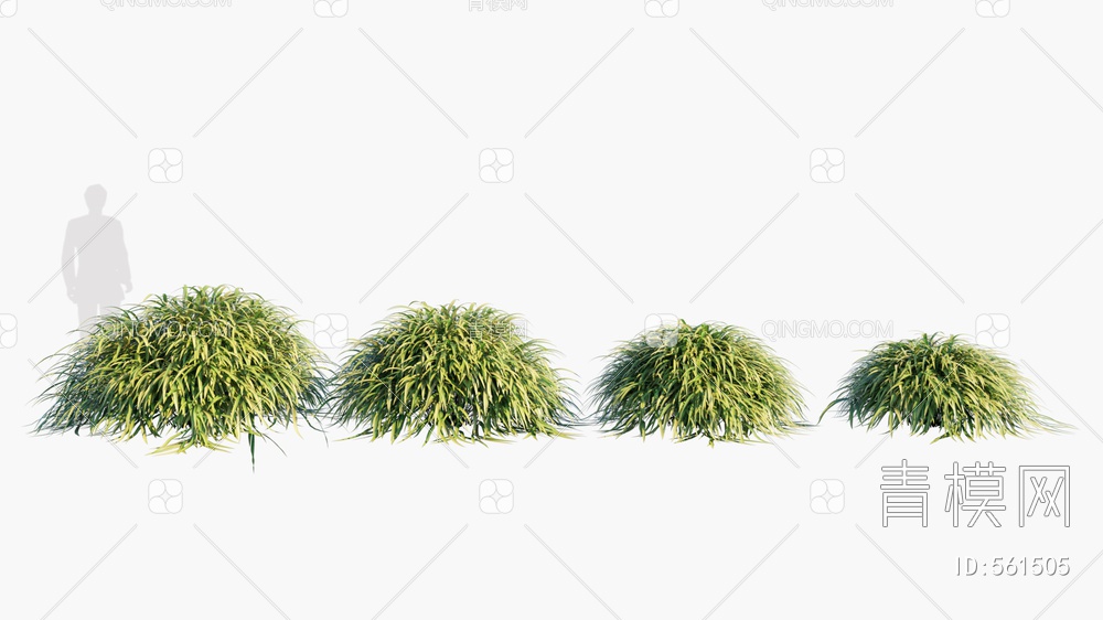 龙血树   灌木  草  植物3D模型下载【ID:561505】