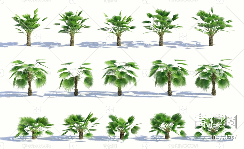 棕榈树3D模型下载【ID:561787】