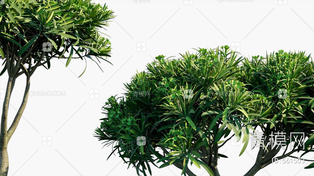 树  植物3D模型下载【ID:561503】