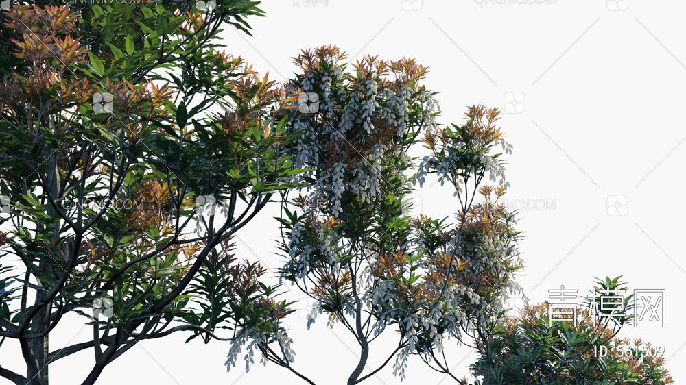 树  植物3D模型下载【ID:561509】