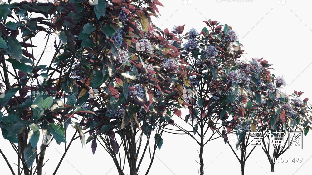 开花树  树  树木3D模型下载【ID:561499】