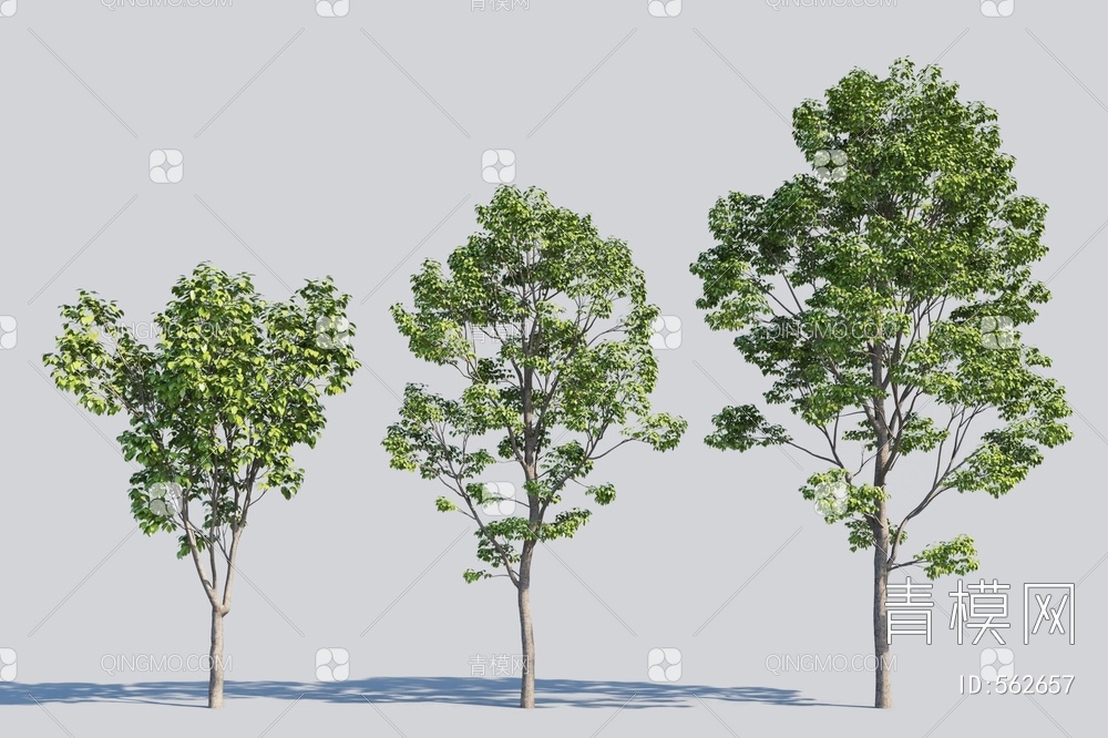 景观树3D模型下载【ID:562657】