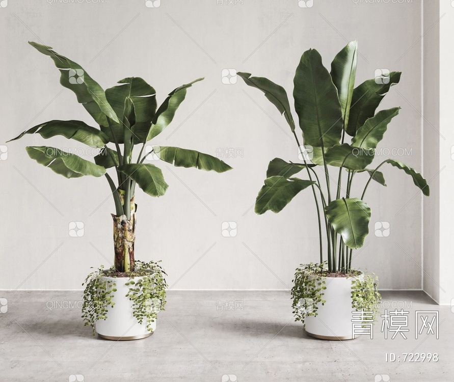 芭蕉植物盆栽组合3D模型下载【ID:722998】