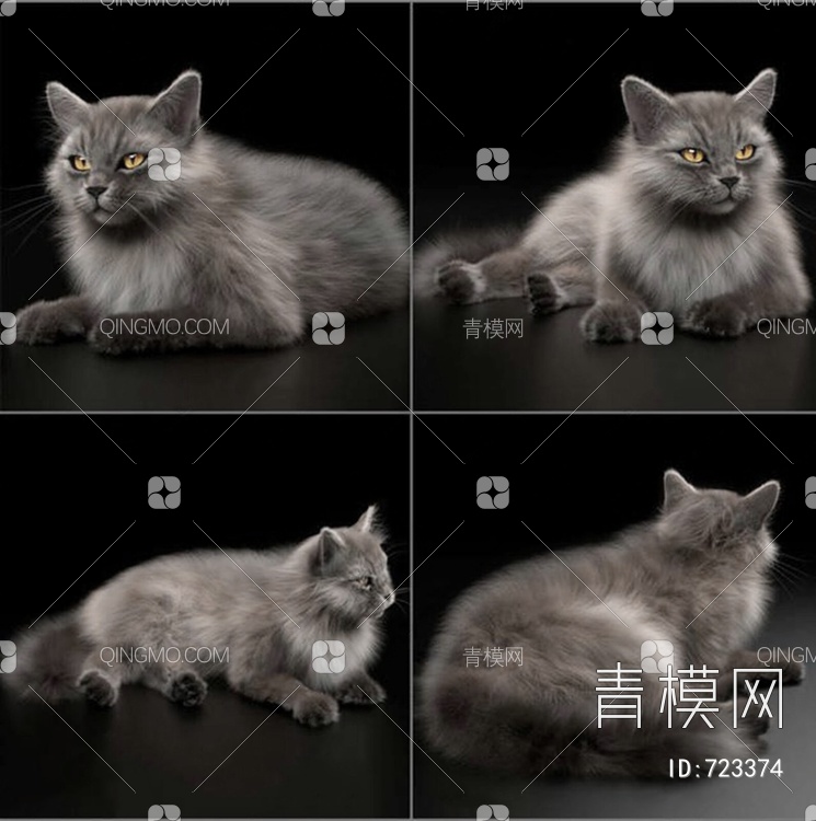 猫3D模型下载【ID:723374】