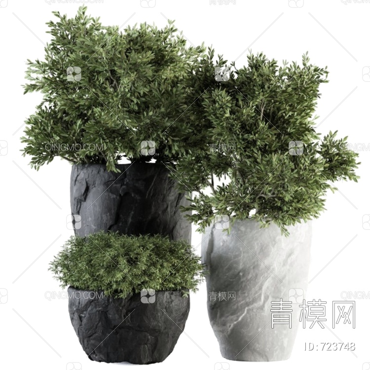 植物盆栽3D模型下载【ID:723748】