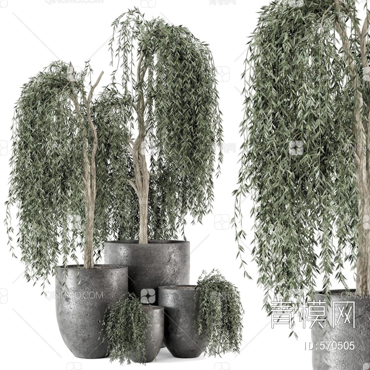 盆栽 植物3D模型下载【ID:570505】