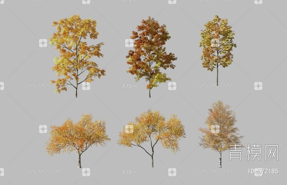 树木 枫树 银杏树 植物3D模型下载【ID:572185】
