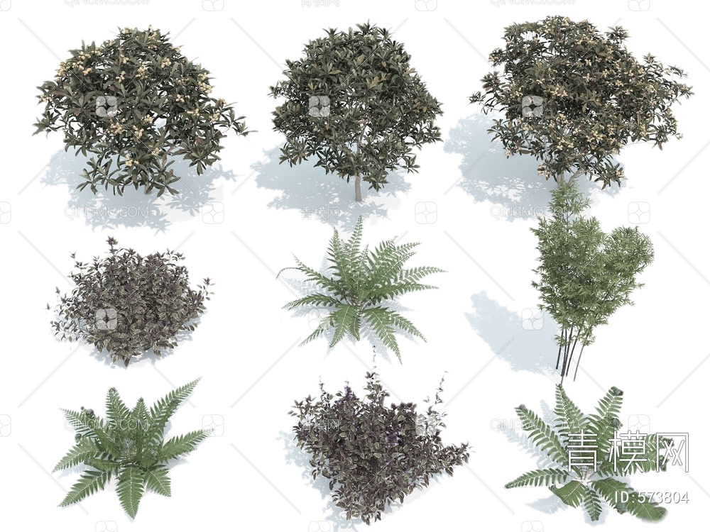 树木 灌木 草 景观树3D模型下载【ID:573804】