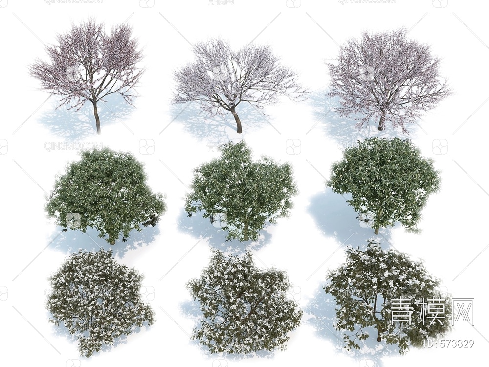 树木 景观树3D模型下载【ID:573829】