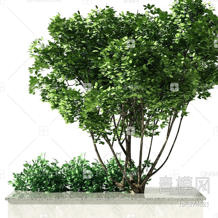 树木3D模型下载【ID:574521】