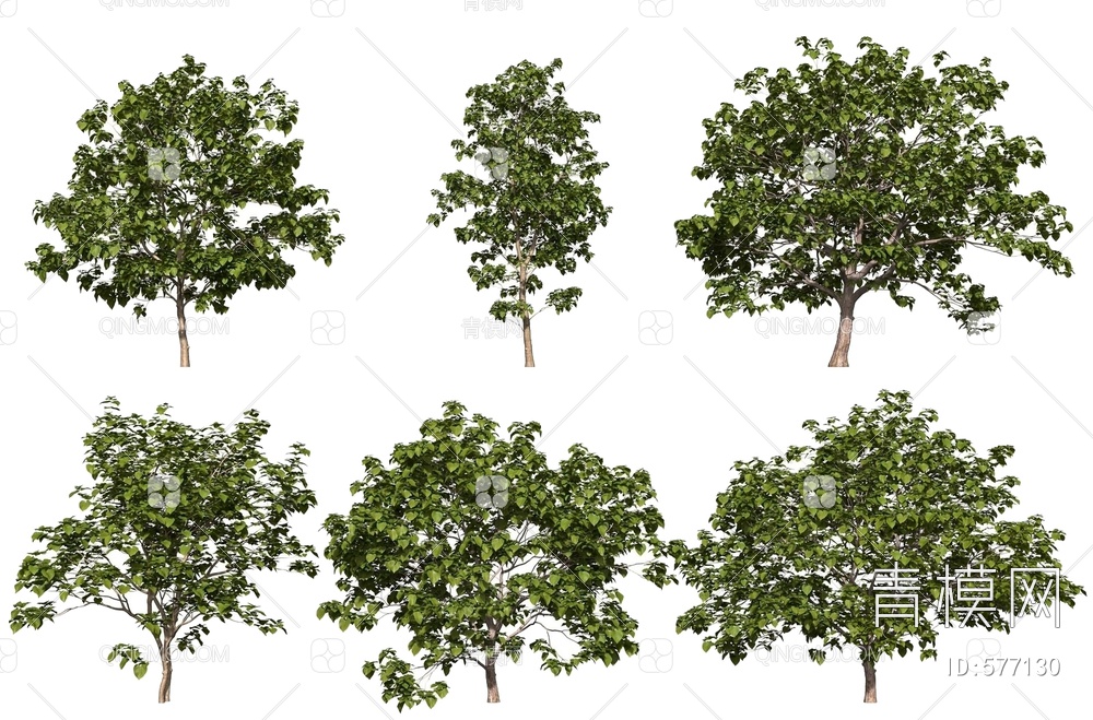 树木3D模型下载【ID:577130】