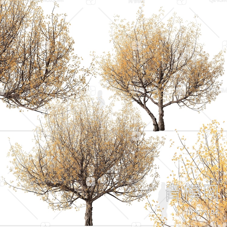 树木3D模型下载【ID:577184】
