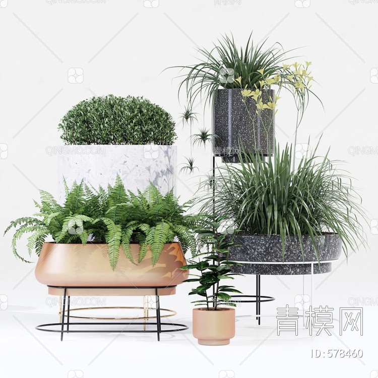 植物盆栽组合3D模型下载【ID:578460】
