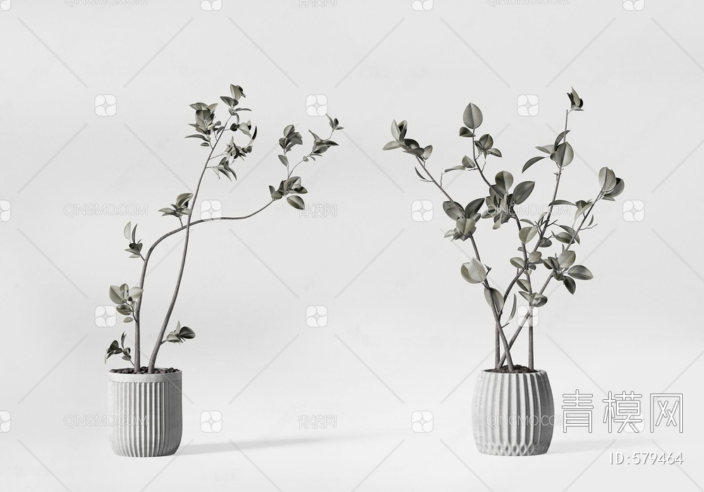 盆栽盆景植物组合3D模型下载【ID:579464】