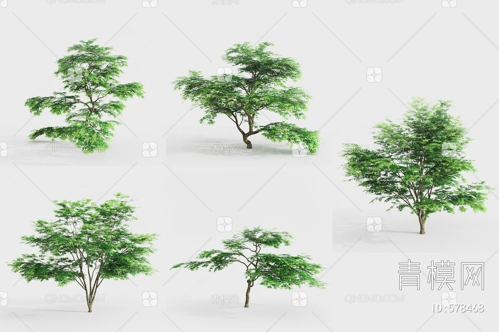 枫树景观树合集3D模型下载【ID:578468】