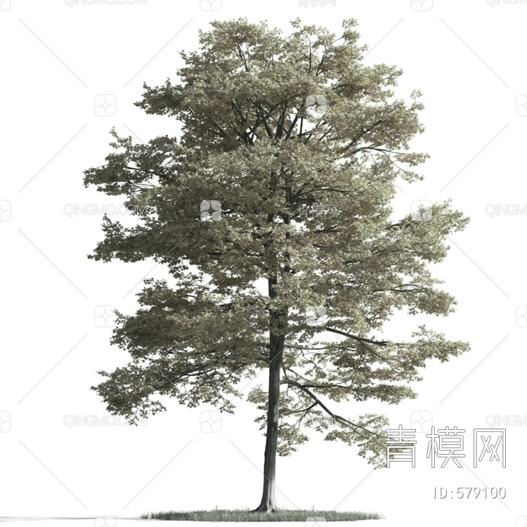 树木3D模型下载【ID:579100】