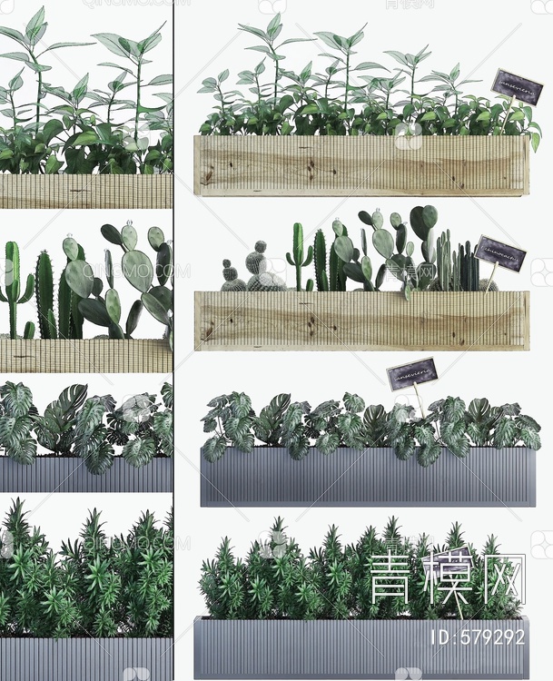 绿植池 植物3D模型下载【ID:579292】
